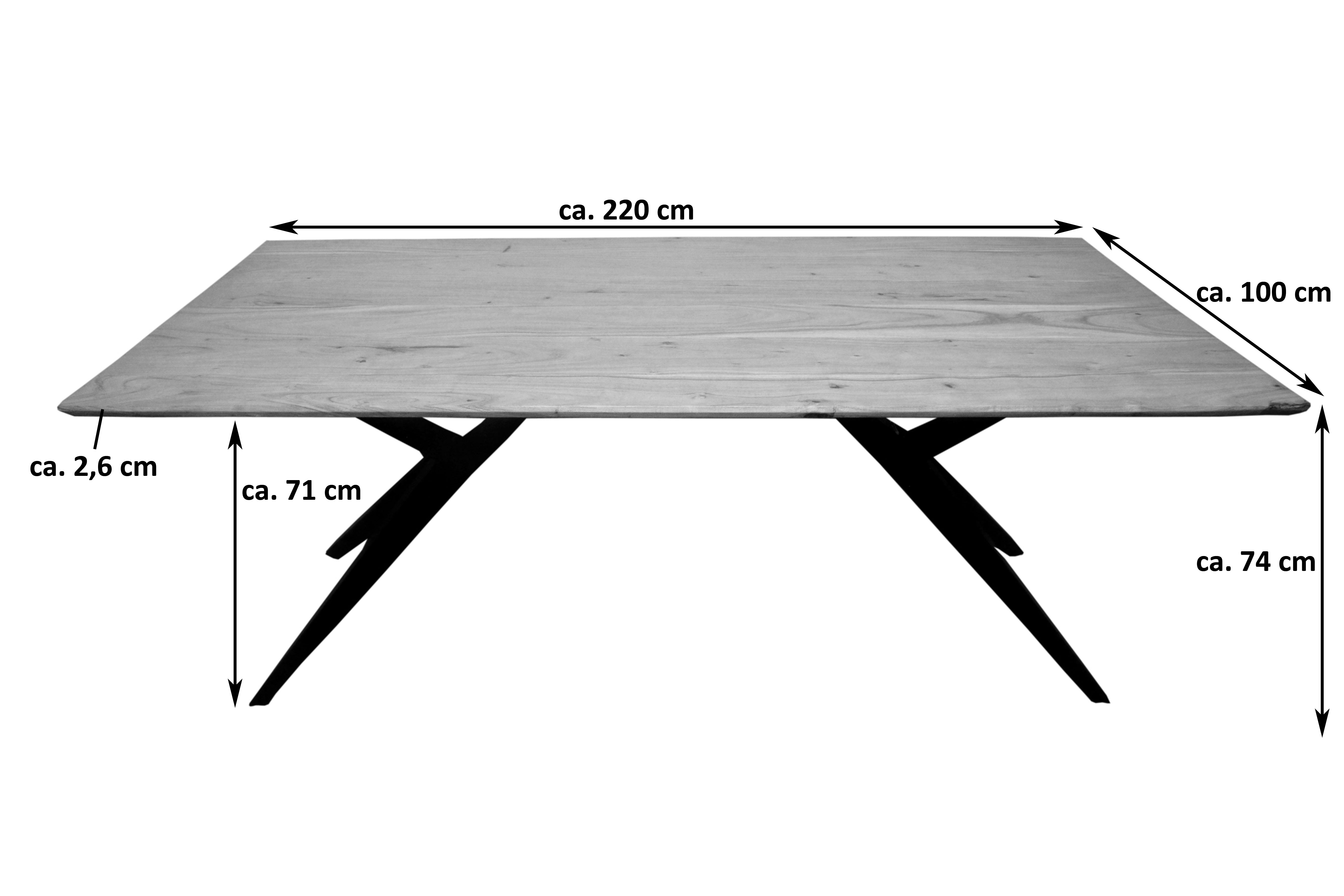#220x100