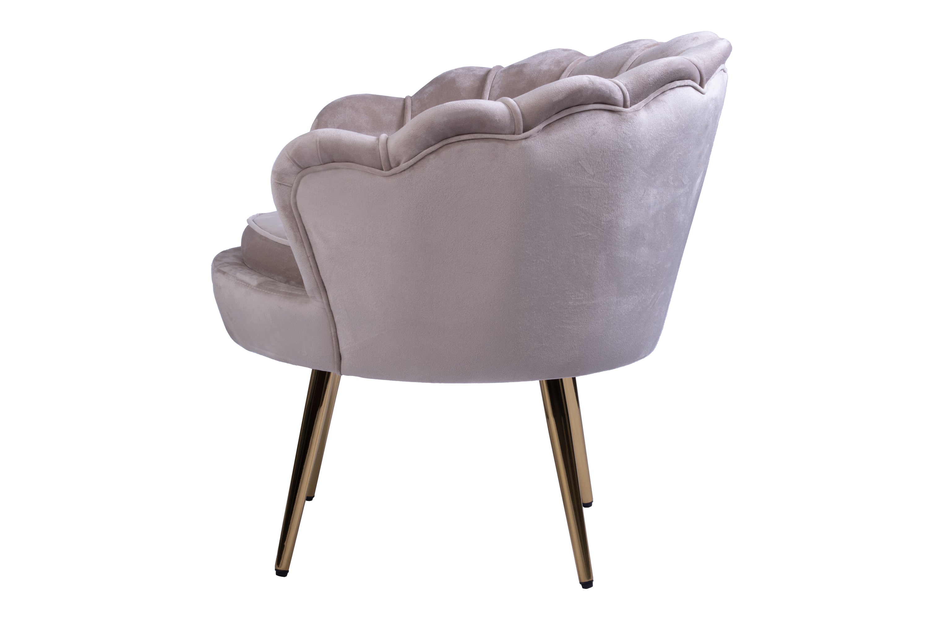 #taupe